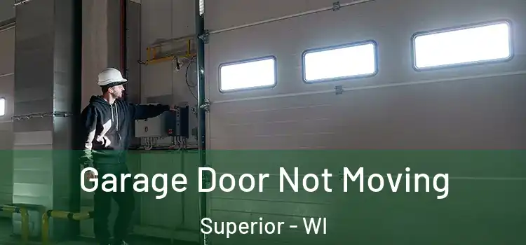  Garage Door Not Moving Superior - WI