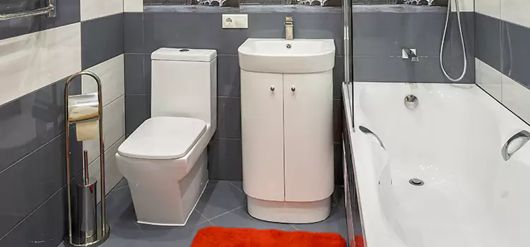 Hansgrohe Shaving Mirror Superior